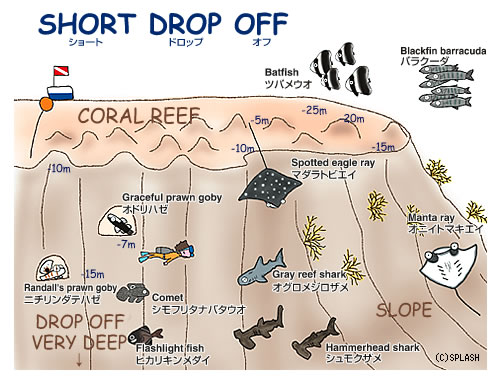 다이빙 투어 준비 일지.여행 희망 일자 : 2014