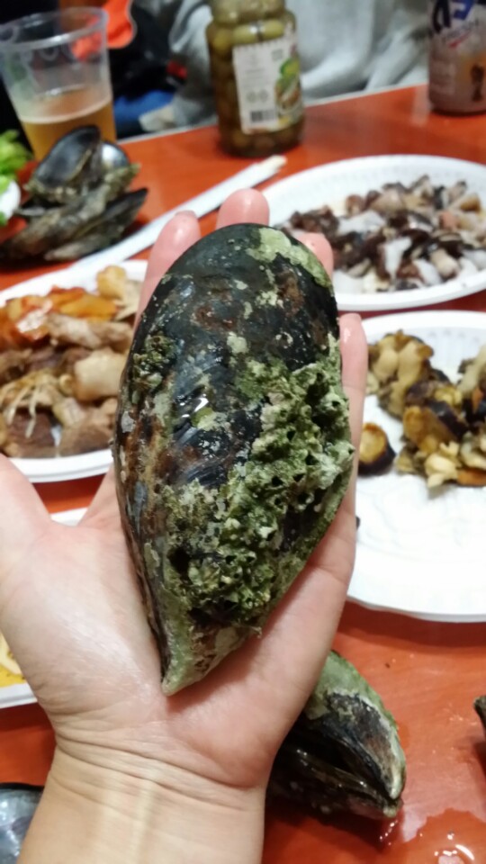 10월 20일 오전 다이빙을 하려 했으나 비바람에 날씨