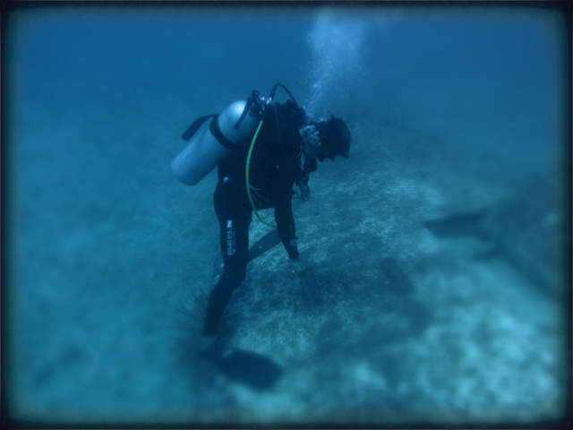 보리카이 강사시절..