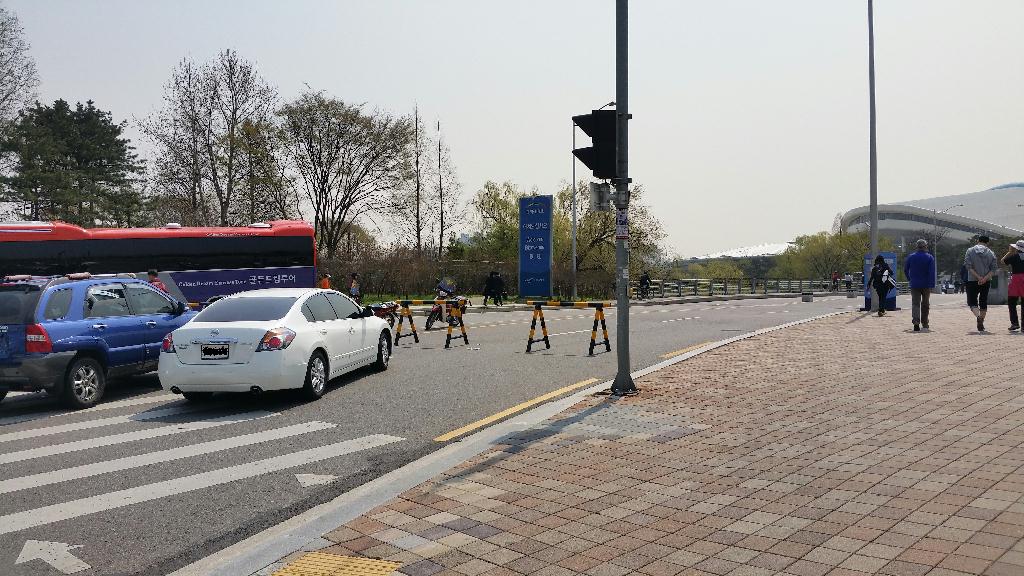 오늘 꽃구경 행락객들이 많아 차가지고 올림픽풀장 가려면