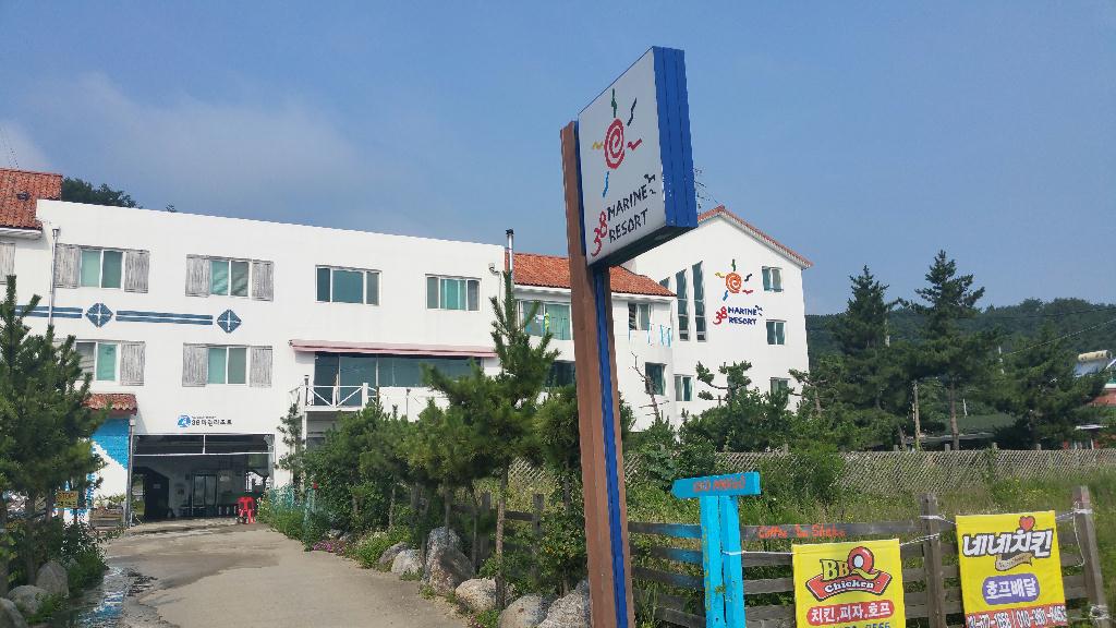 평일 한가한 동해 투어... 시야, 수온 대박 예상 ^
