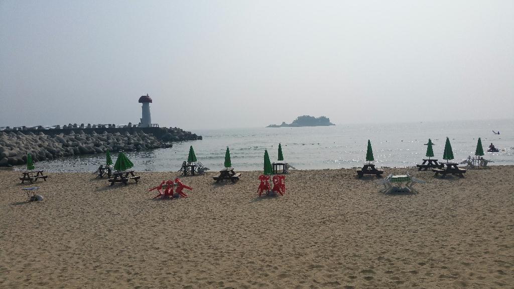 평일 한가한 동해 투어... 시야, 수온 대박 예상 ^