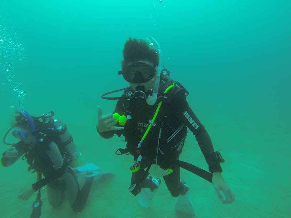 歡迎各位來台灣～潛水～任何想來台灣～潛水的～可以問我哦～