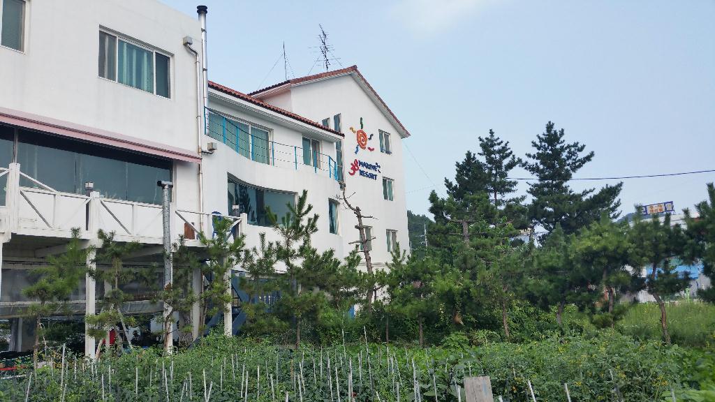 Today, Yangyang Korea..  The w