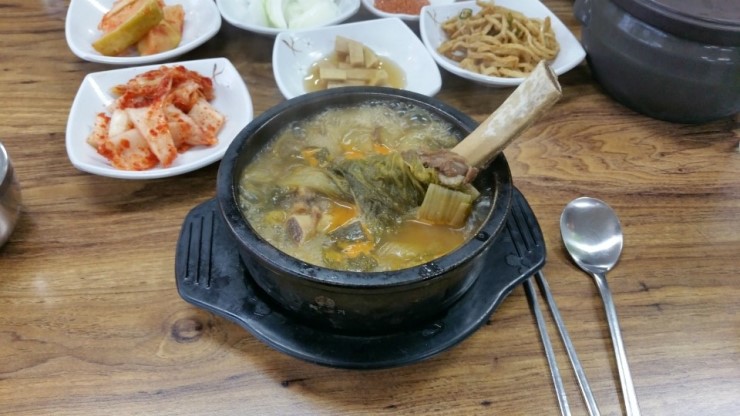 제주도 투어(5/27~29) 먹방...너무 비싸..