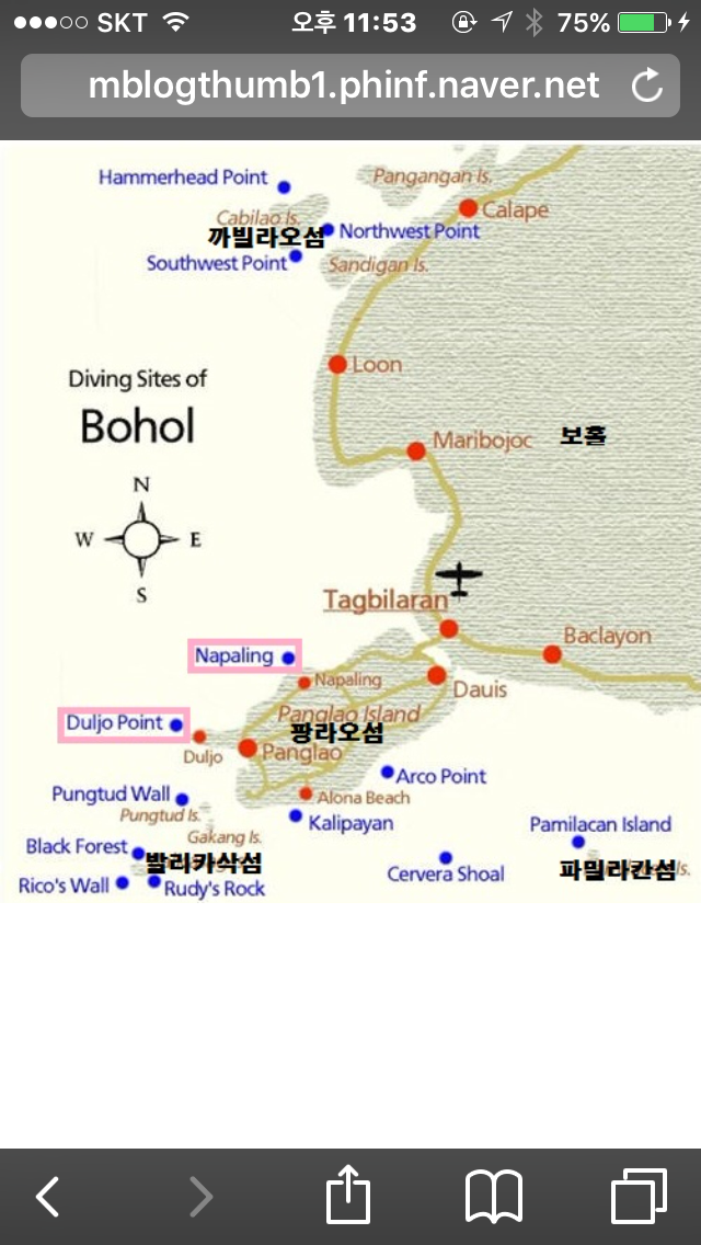 필리핀 포인트