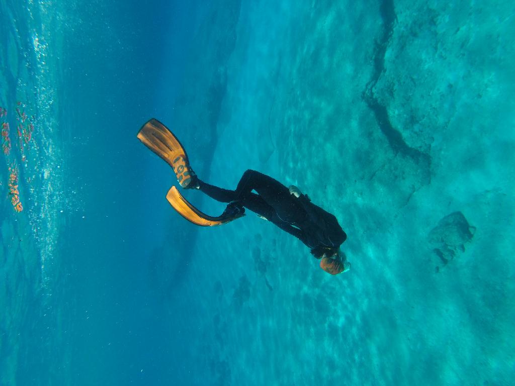 첫가입. 예전 로그를 기록해야하나?조금 귀찮은데ㅋㅋ