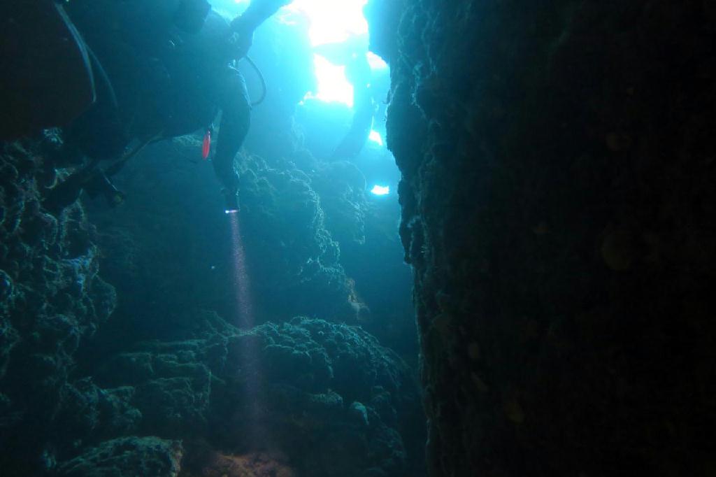 coron....