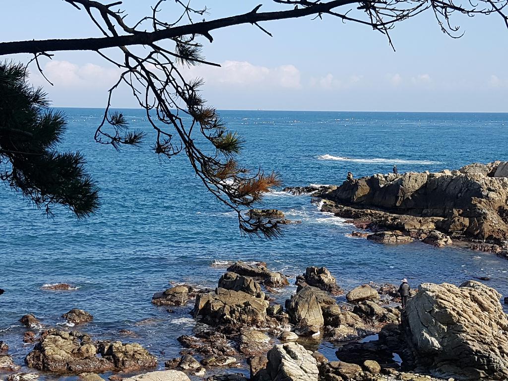 간만에 찾아간다 다이버 몸이 너무 편안하게 좋았습니다